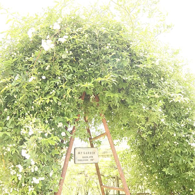 S.homeさんの実例写真