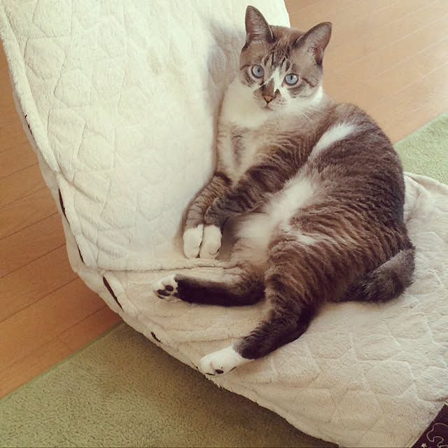 hanahanaさんの実例写真