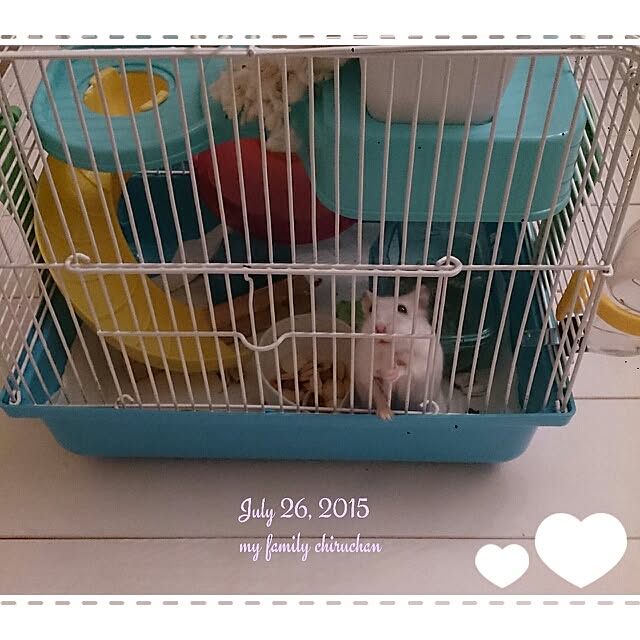 comiriさんの実例写真