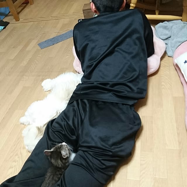 Reiさんの実例写真