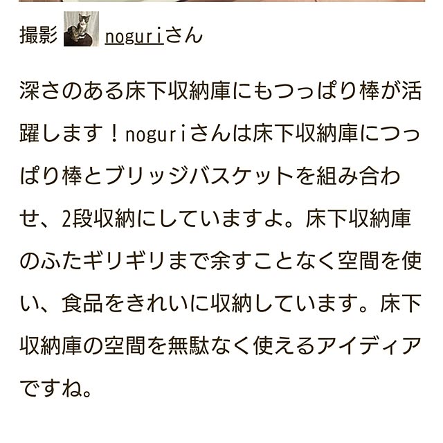 noguriさんの部屋