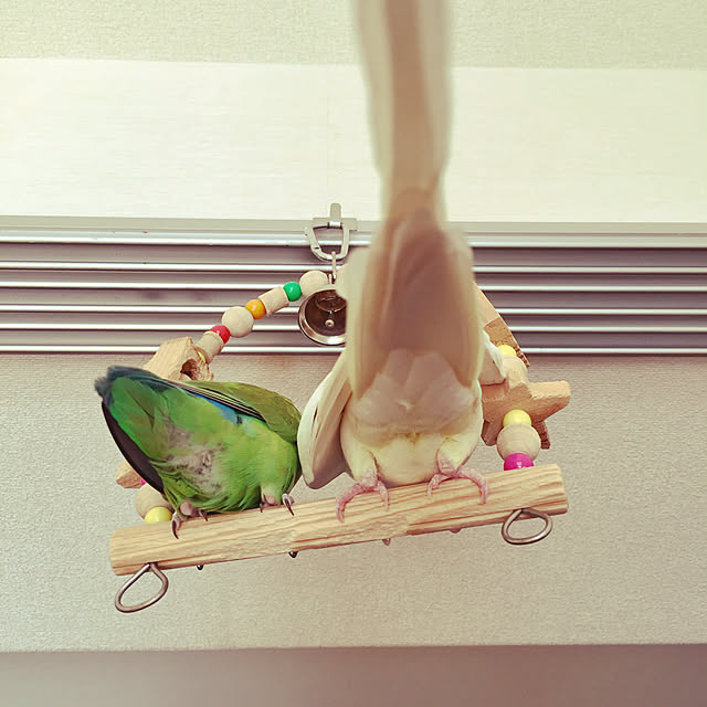 toratanさんの実例写真