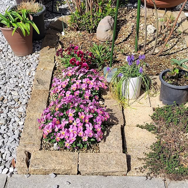 mutsuさんの部屋