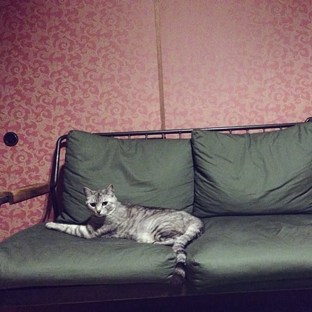 EkkiMukkさんの実例写真