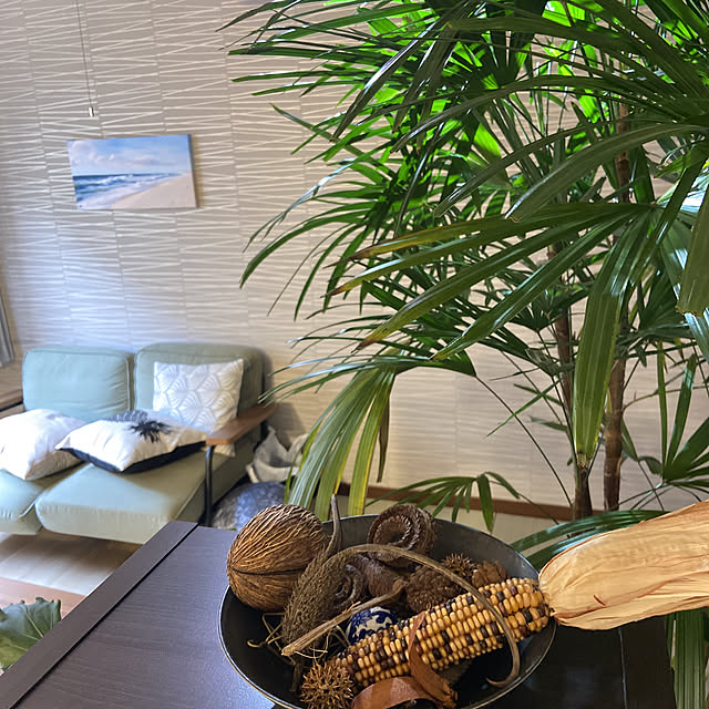 Shikanosukeさんの実例写真