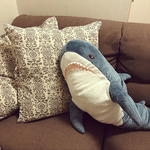 ekkaさんの実例写真