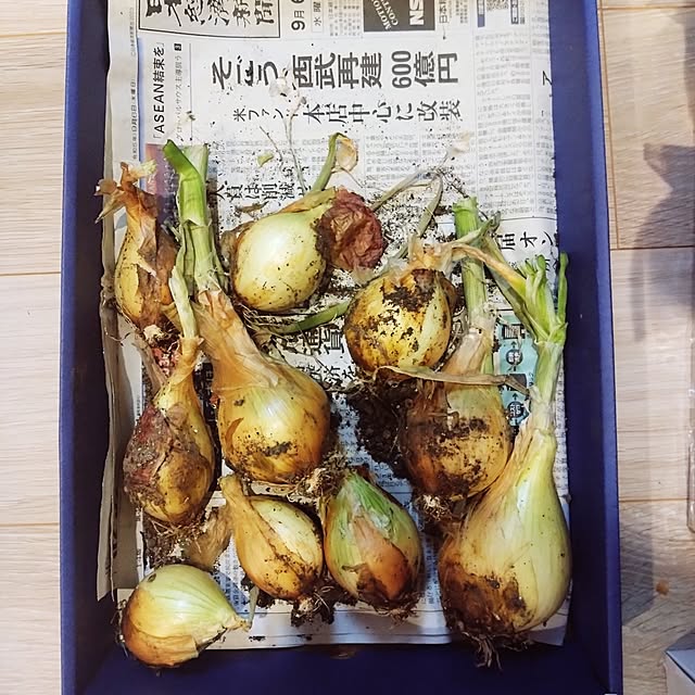NAOKIさんの実例写真