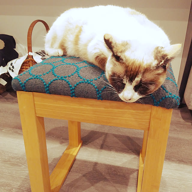 haya.tou.yahiさんの実例写真