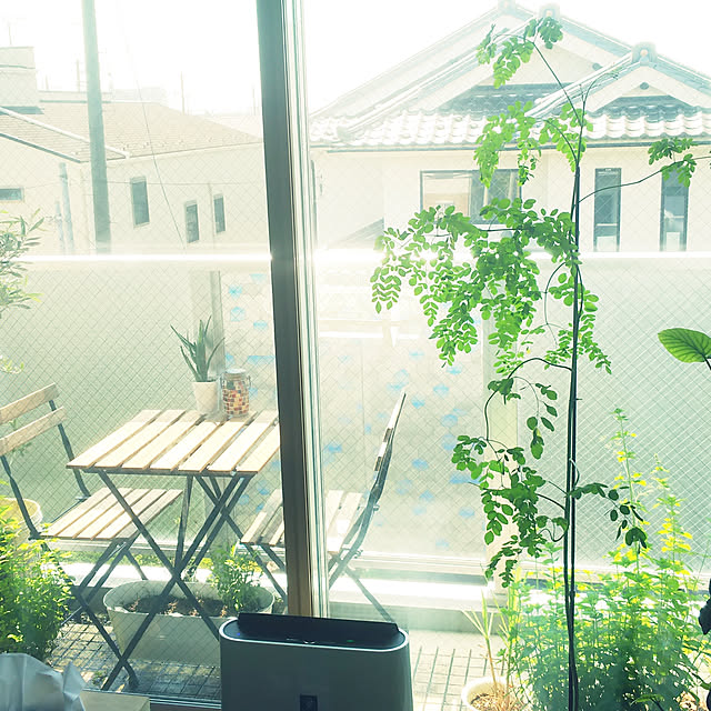 nature-faloさんの実例写真