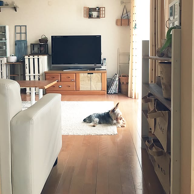mayuoさんの実例写真