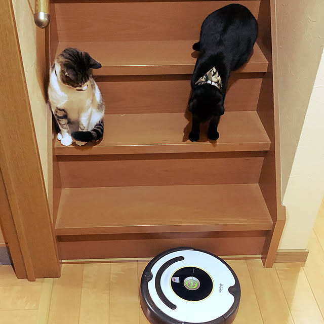 jijiさんの実例写真