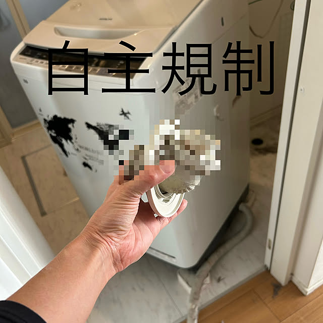 adamoさんの部屋