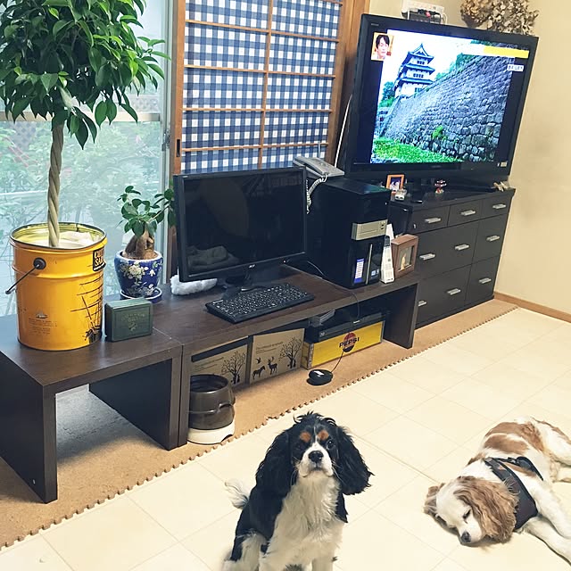 happy0612さんの実例写真