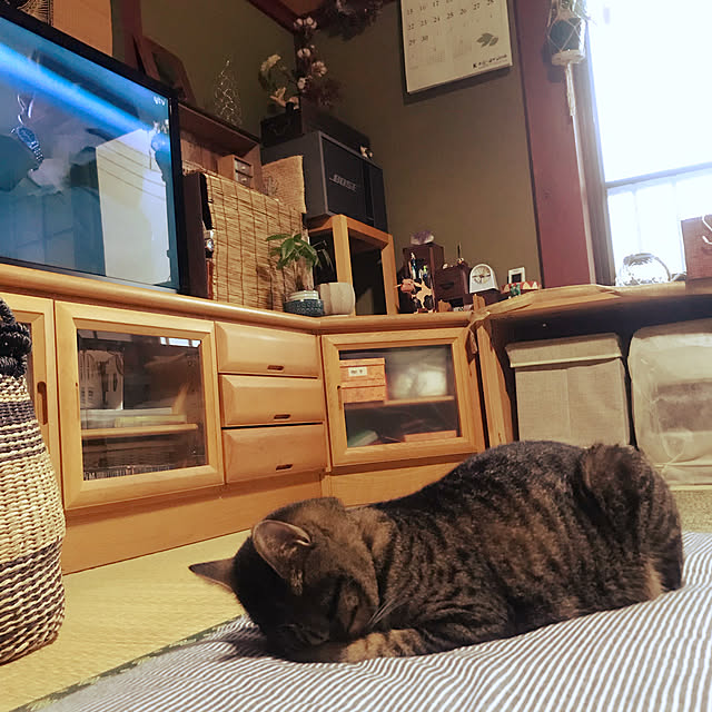 maruさんの実例写真