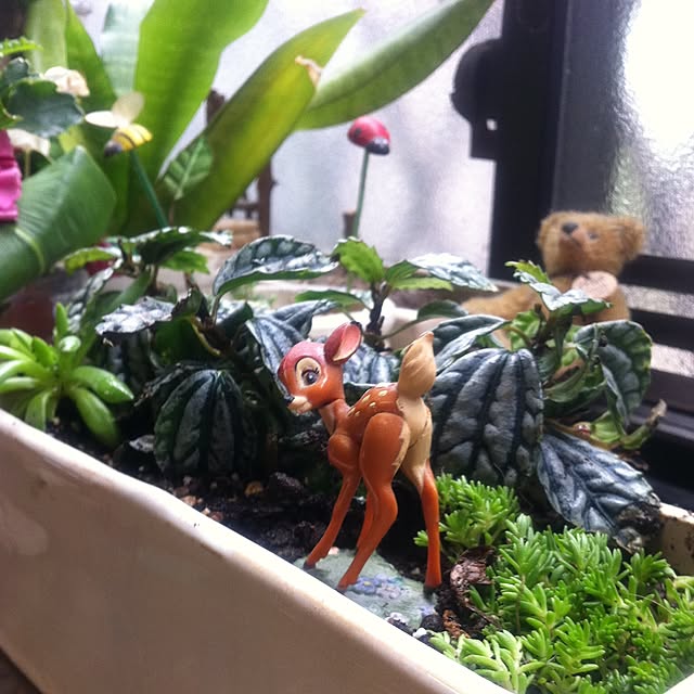 Yukikoさんの実例写真