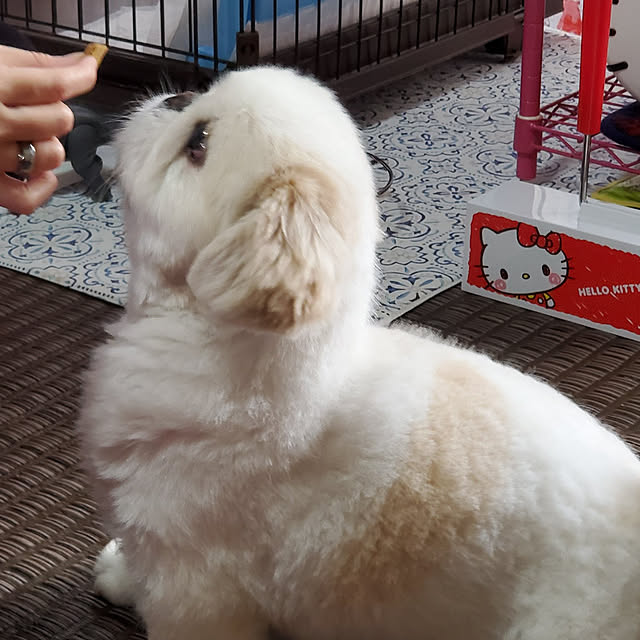 kumutanさんの実例写真