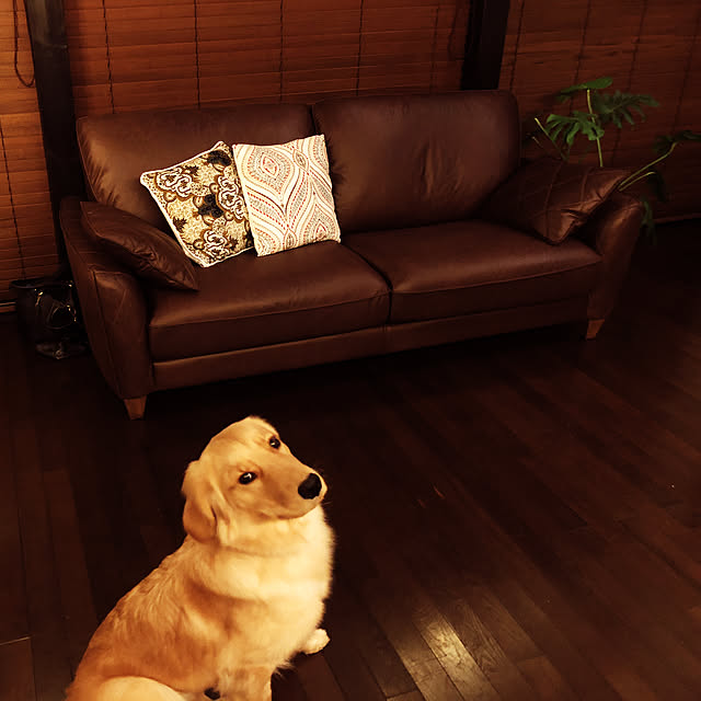 aitarooさんの実例写真