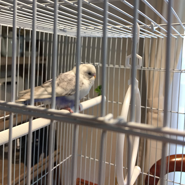 tama0330さんの実例写真