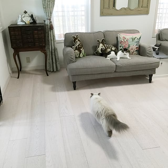 yuchiさんの実例写真