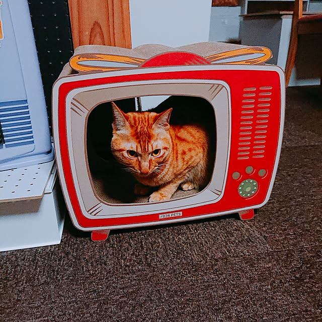 kikiさんの実例写真