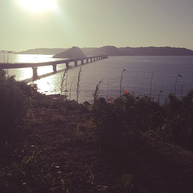iroirokoubouさんの実例写真
