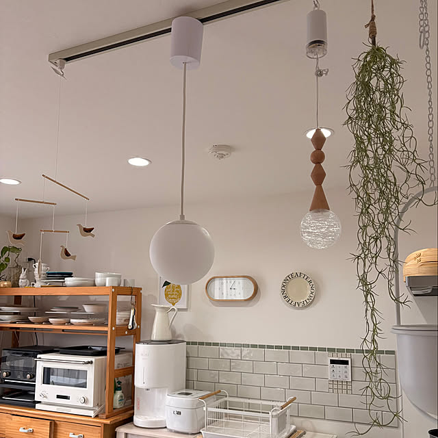 safariさんの実例写真