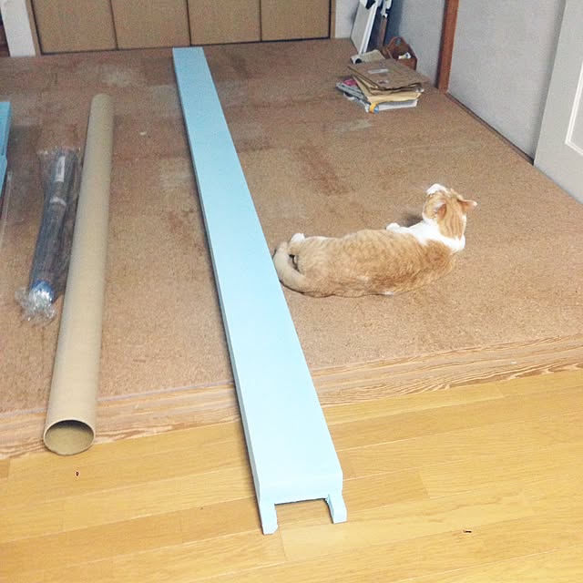 Kinanさんの実例写真