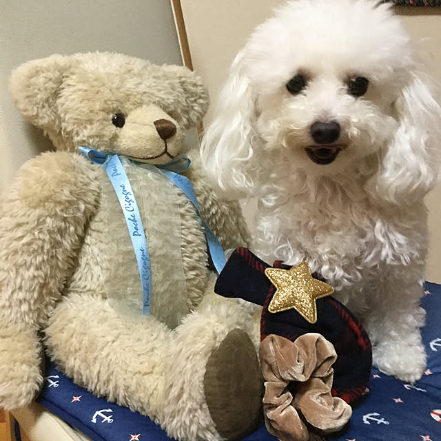 kakoさんの実例写真