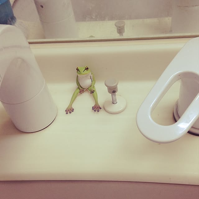 Teraさんの実例写真