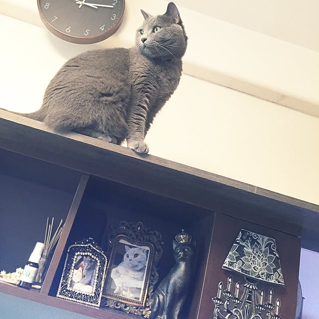 sweetchocochanさんの実例写真