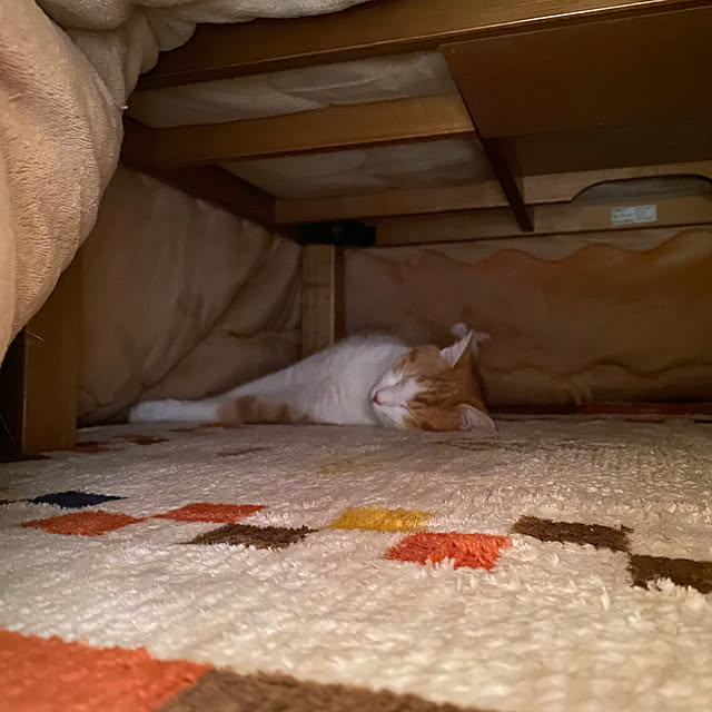 senbei.sakuramochiさんの実例写真