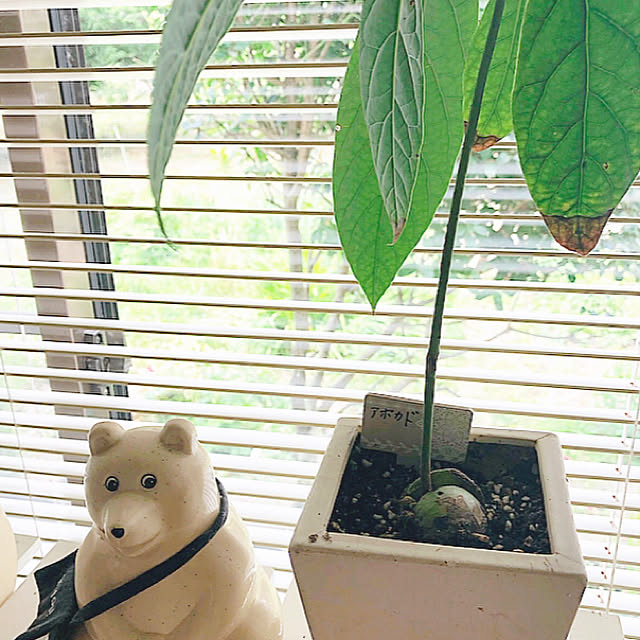 aiさんの実例写真