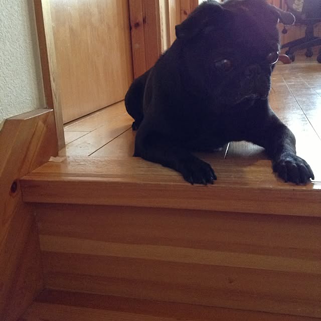 Noriさんの実例写真