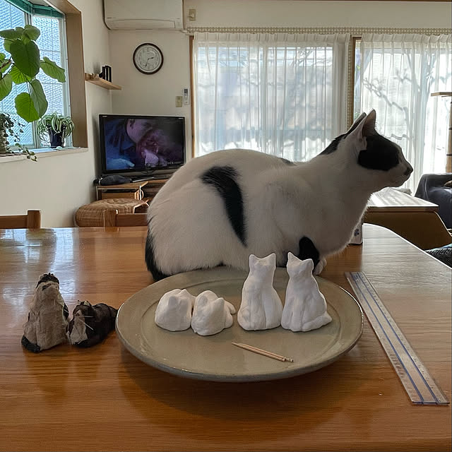 nobikoさんの実例写真