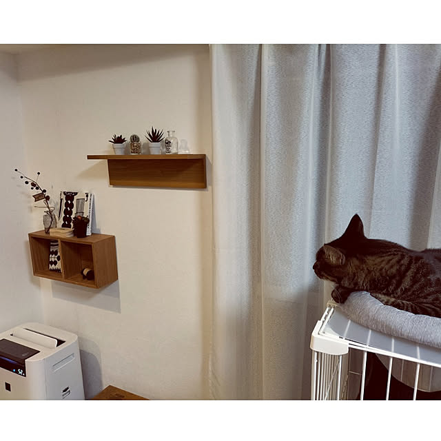 hihaさんの実例写真
