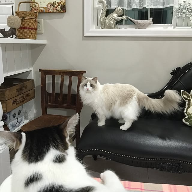 yuchiさんの実例写真