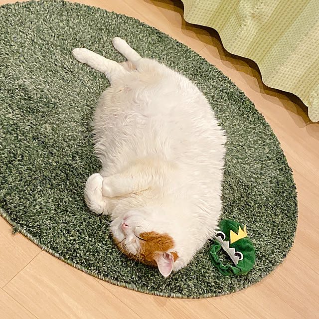 viraさんの実例写真