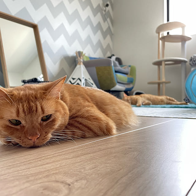 sherryさんの実例写真