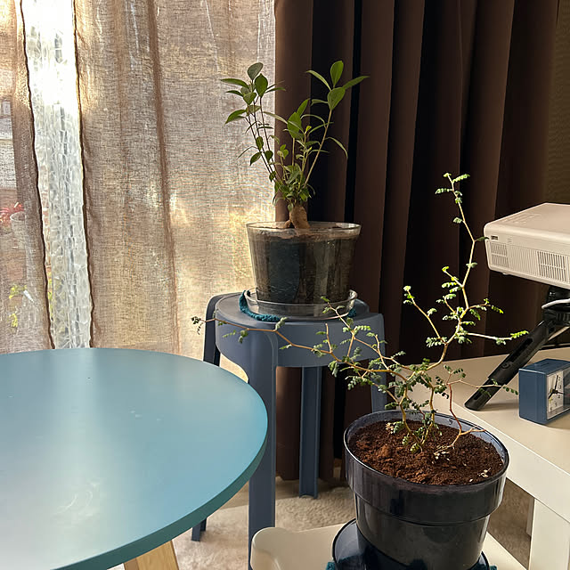 ruuuさんの実例写真