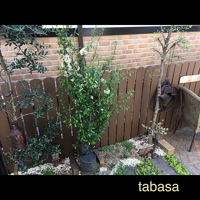 tabasaさんの実例写真