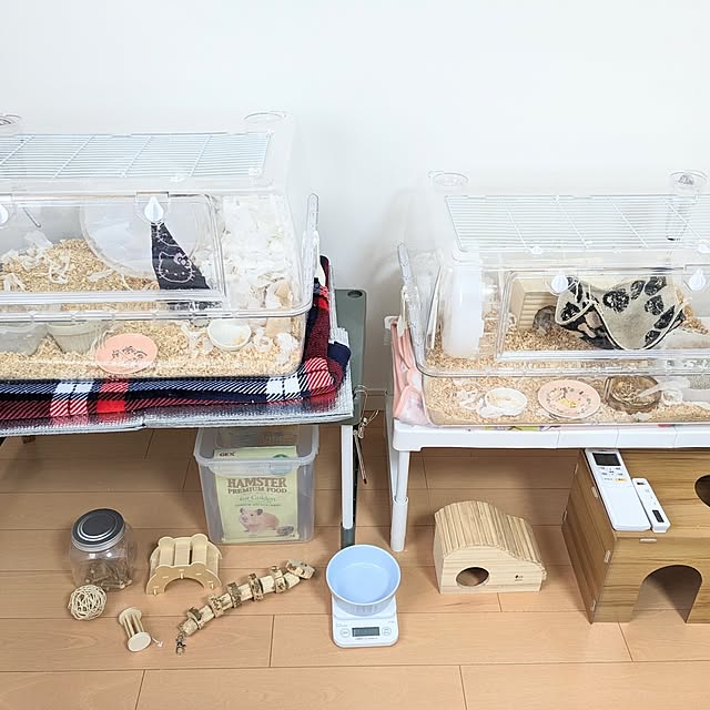 PEROさんの部屋