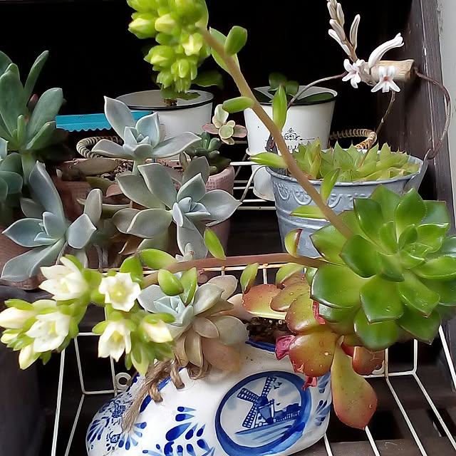 mariagardenさんの実例写真