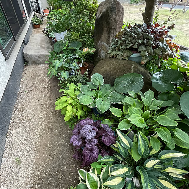 buchiさんの実例写真