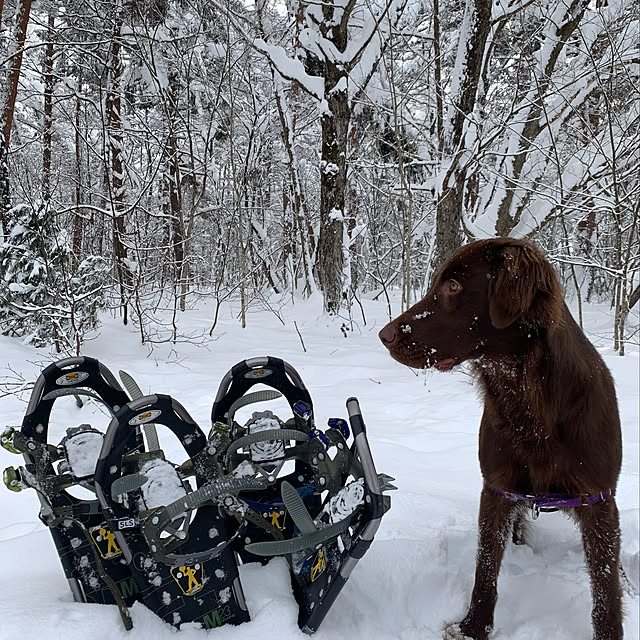 Kikko.さんの実例写真