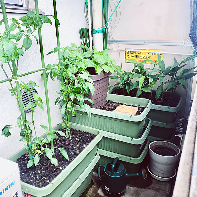 hanachanさんの部屋