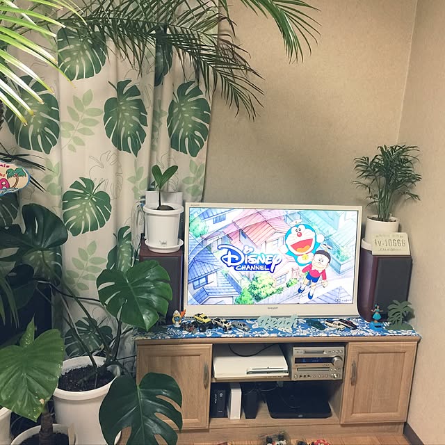 HauOliさんの実例写真