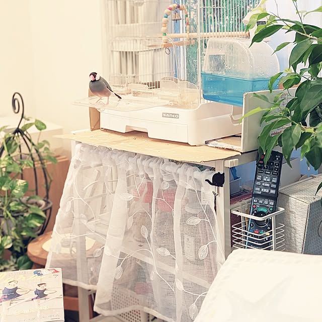 Yoshi55goさんの実例写真