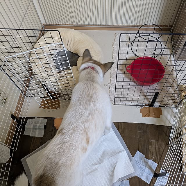 asaさんの部屋