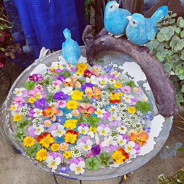 mocomocoさんの実例写真