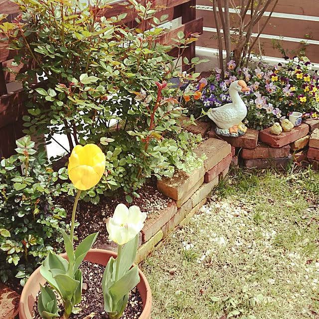 cloverさんの実例写真